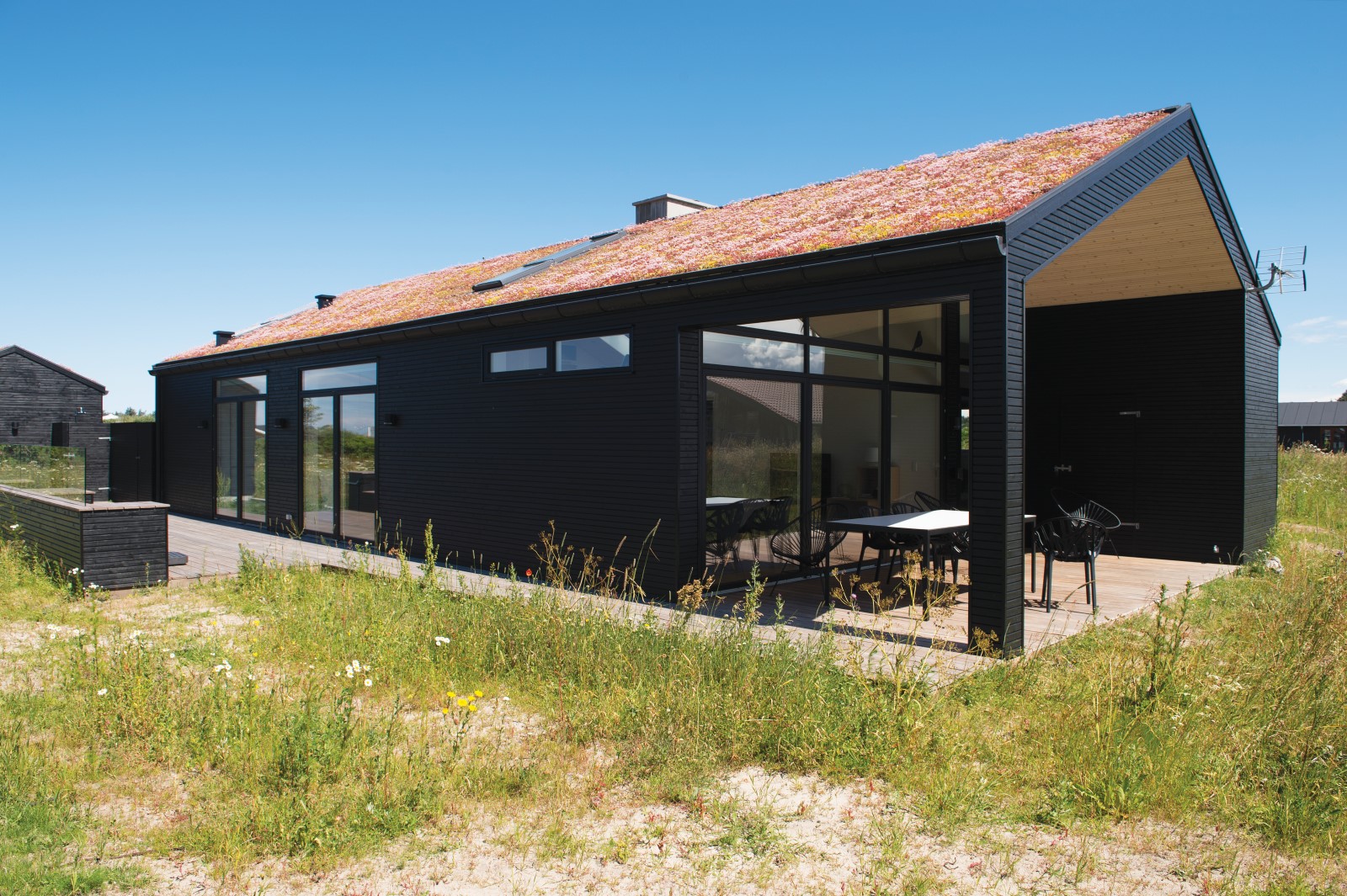 Sedum tag på sommerhus